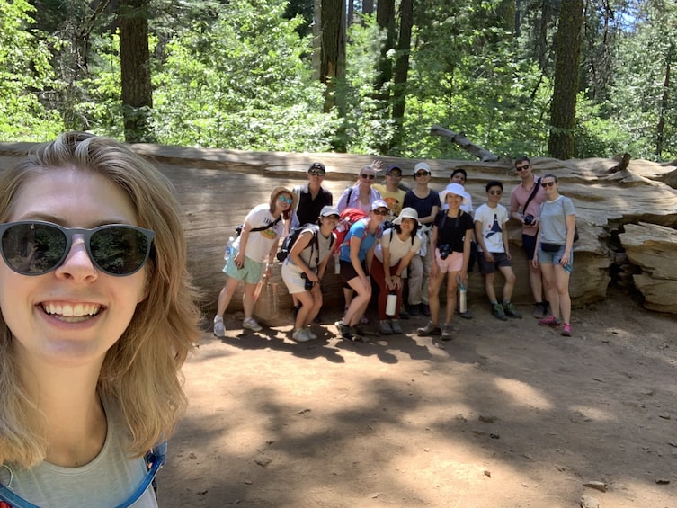Yosemite National Park & Giant Sequoia Grove Day Tour