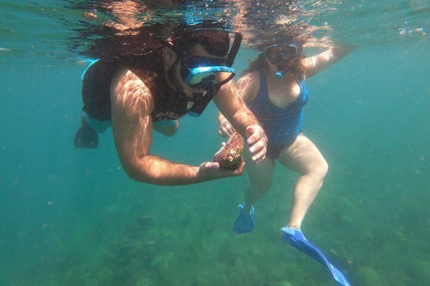 Coral Reef Snorkel Adventure