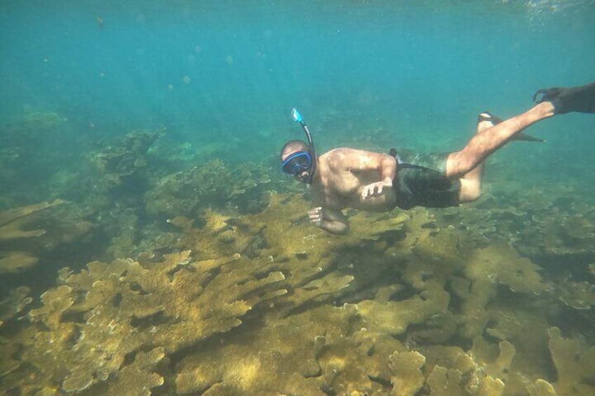 Coral Reef Snorkel Adventure