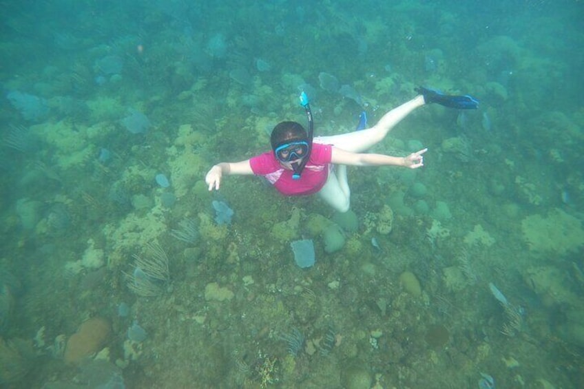 Coral Reef Snorkel Adventure