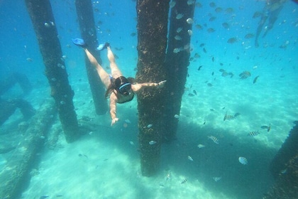 Coral Reef Snorkel Experience in Puerto Rico