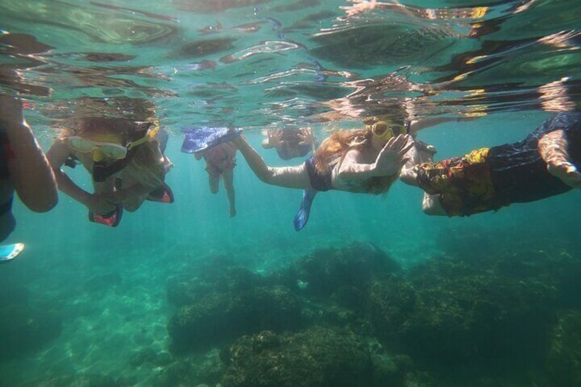 Coral Reef Snorkel Adventure