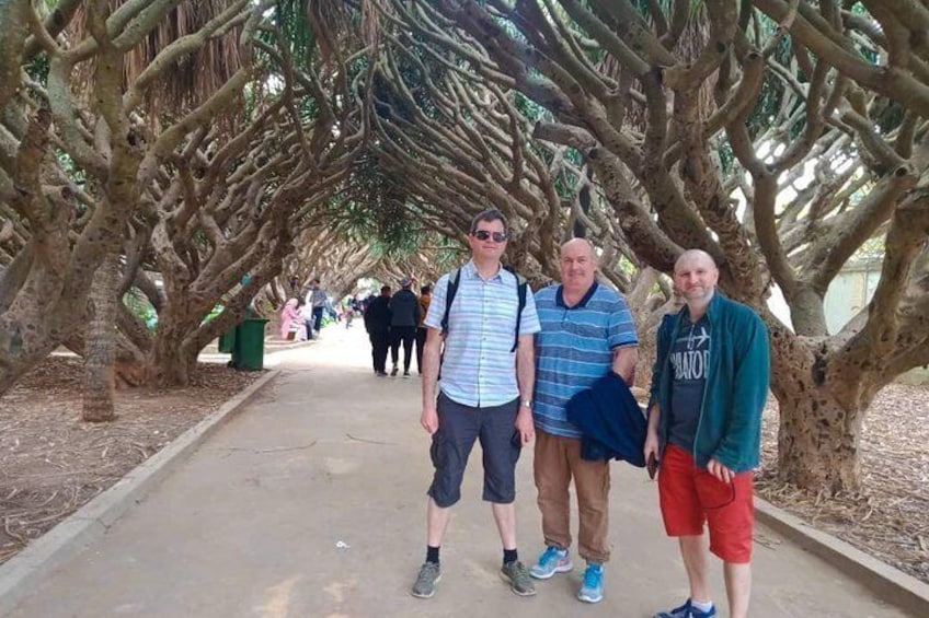 the Botanical Garden of El Hamma