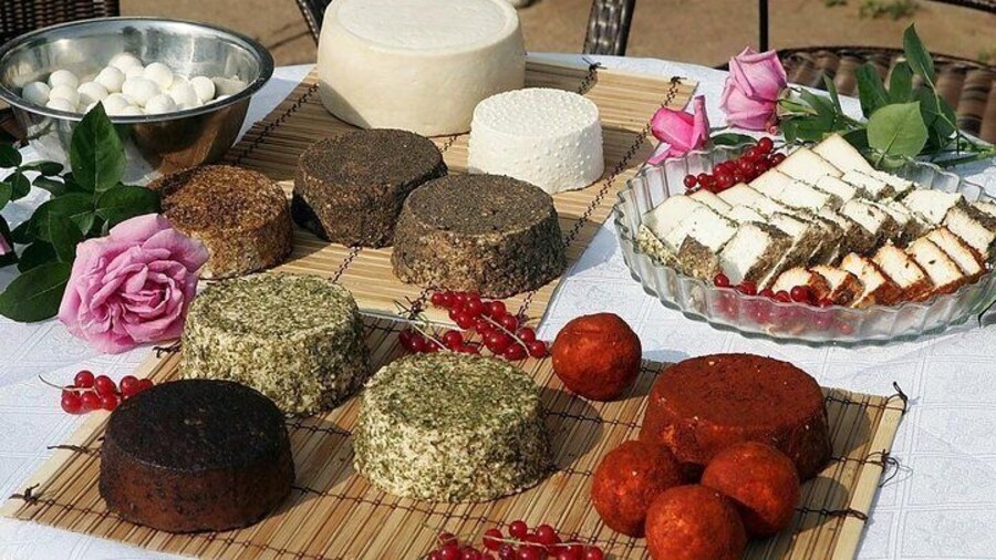Cheese tasting