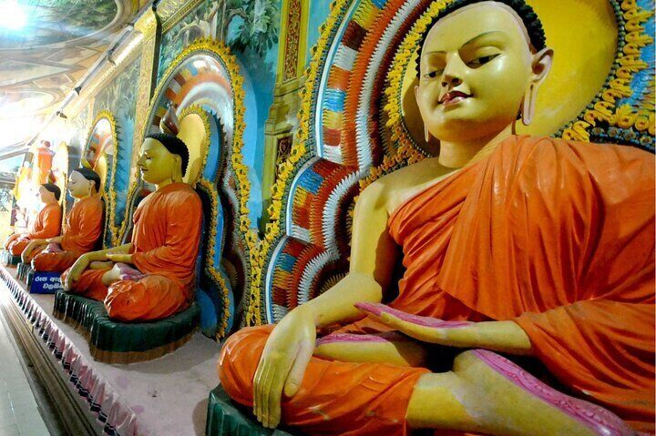 Half-Day Negombo City Tour with Ayurvedic Massage & Local Lunch