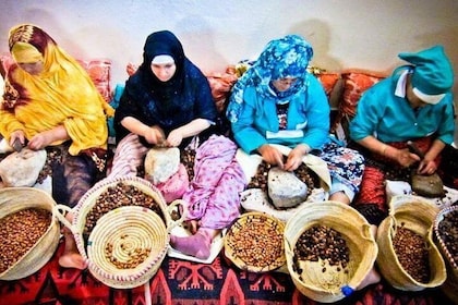 Visit the famous Argan Oil Factory in Agadir and learn About its Culture