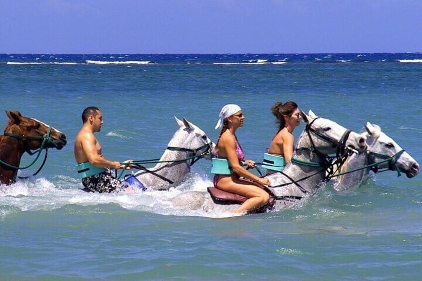 Horse Back Riding