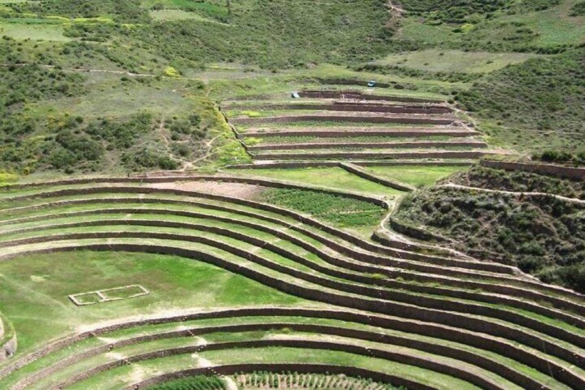 Moray