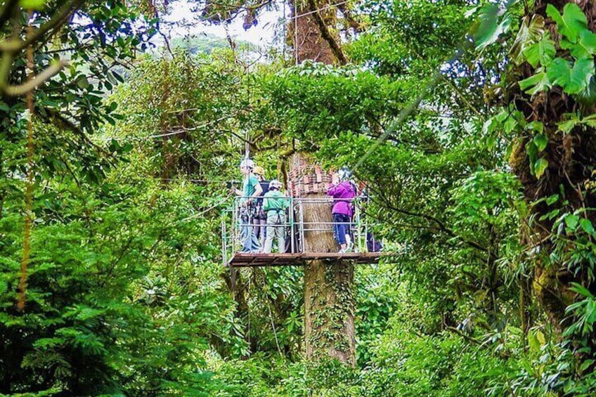 2-in-1 Monteverde Cloud Forest Ziplines and Extreme Bungee Jump