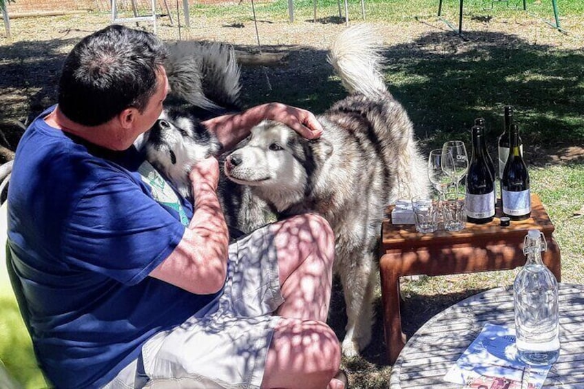 This guest enjoyed much more than a wine tasting at Arno Wines.