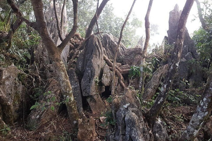 Mount Daraitan with Tinipak River Day Hike