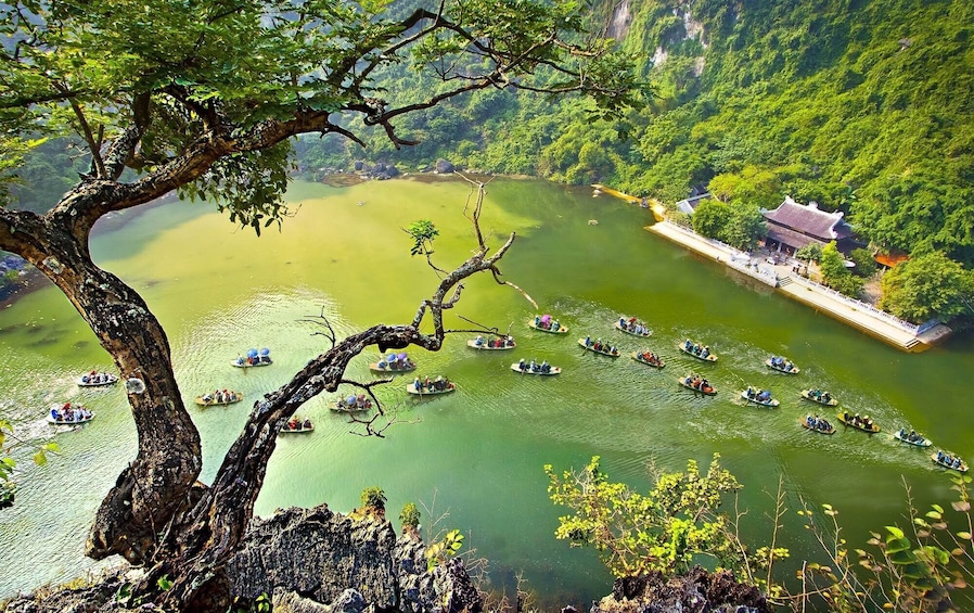 1 Day Hoa Lu & Tam Coc Tour