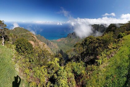 Kauai Private Tour : Waimea Canyon and Southside