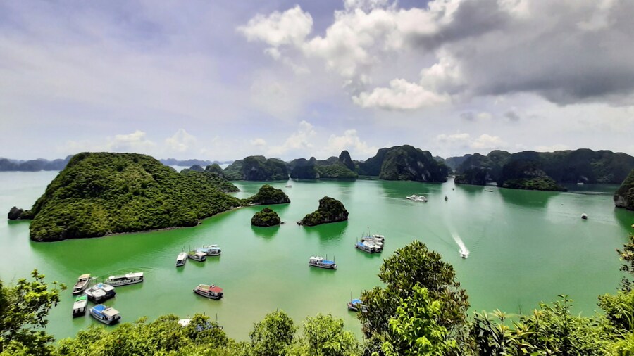1 Day Ha Long Bay Tour