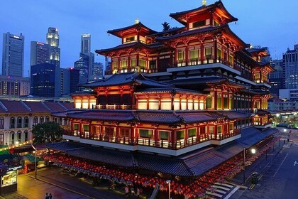6-Hours Singapore Tour in Private Car or Minibus with Driver