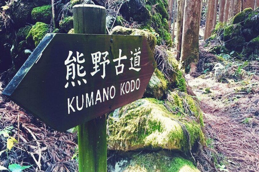 Kumano Kodo Full-Day Private Trip with Government Licensed Guide