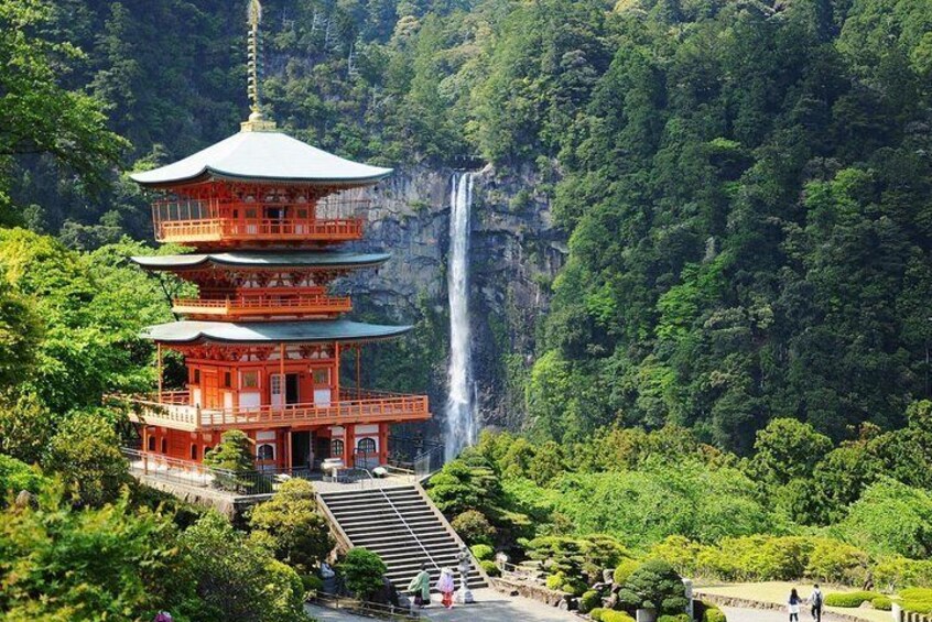 Kumano Kodo Full-Day Private Trip with Government Licensed Guide