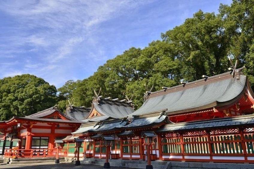 Kumano Kodo Full-Day Private Trip with Government Licensed Guide