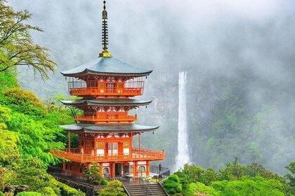 Kumano Kodo Pilgrimage Full-Day Private Trip with Government Licensed Guide