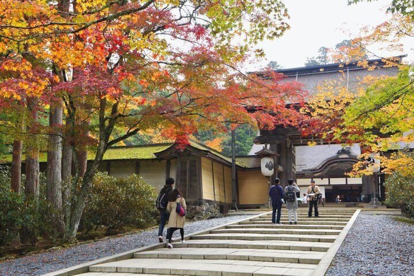 Kongobuji Temple in fall color.