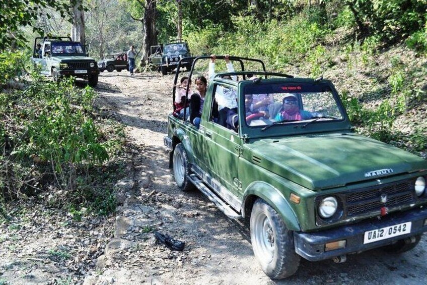 Jeeps are halt due to wild Elephants