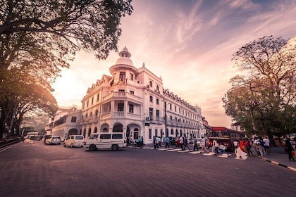 Sri Lanka 4 Day Private Tour – Sigiriya, Kandy & Tea Country