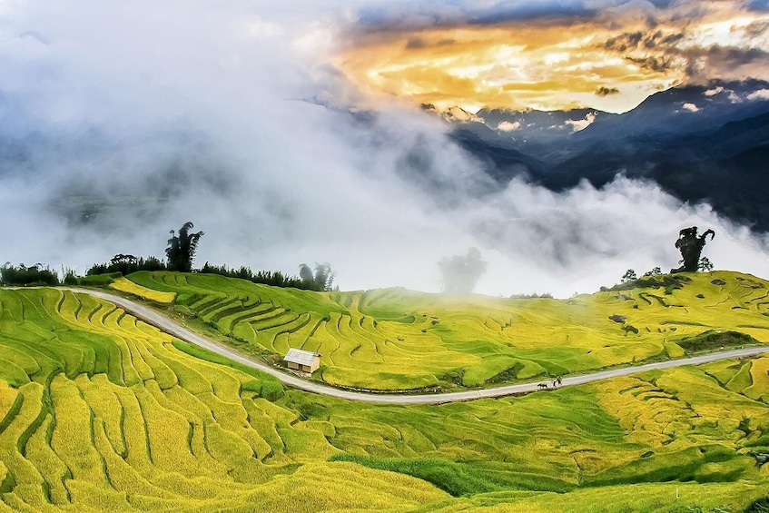 Day-tour in Sapa