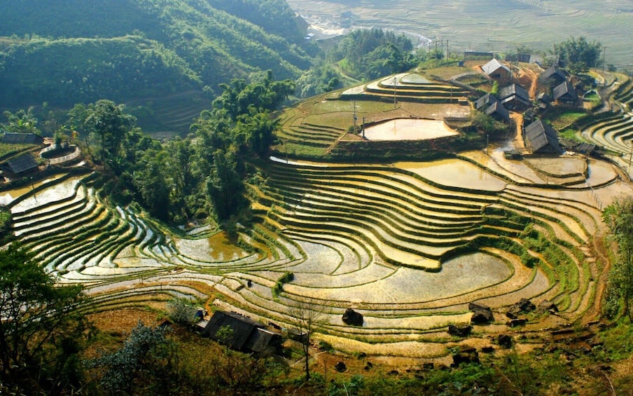 Day-tour in Sapa