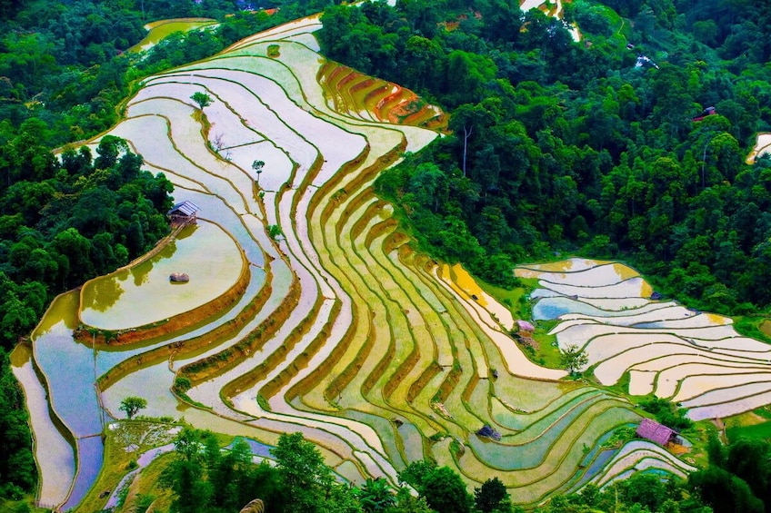 Day-tour in Sapa