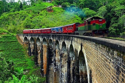 Round tour in Sri Lanka 14days/13nights by Aaliya Tours includes Hotels wit...