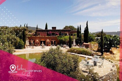 Wines & Wonders of Bodrum : Vine Tasting and Bodrum City Tour