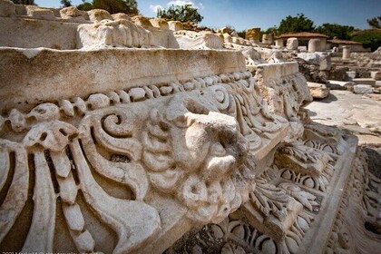 博德魯姆的葡萄酒和奇蹟:葡萄酒品嚐和博德魯姆城市之旅