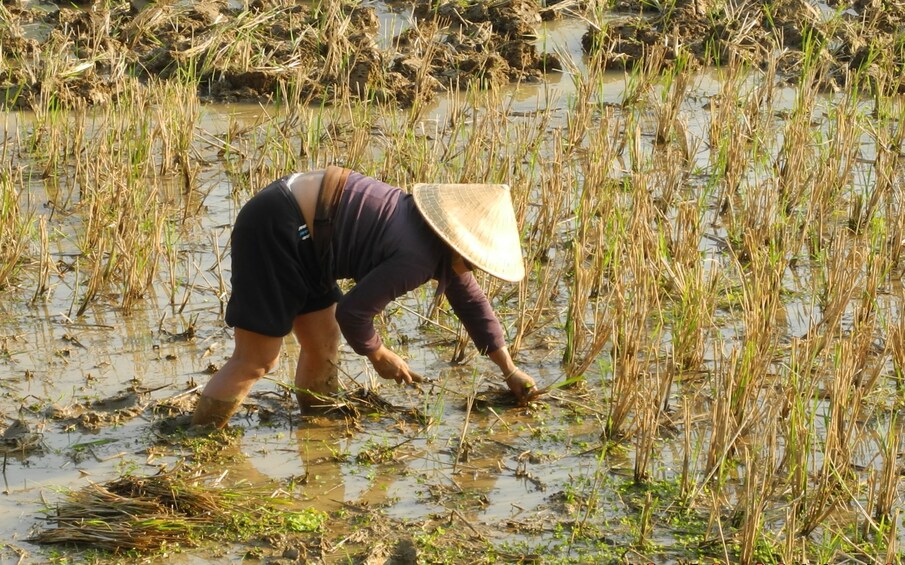 Day-tour to Mai Chau countryside