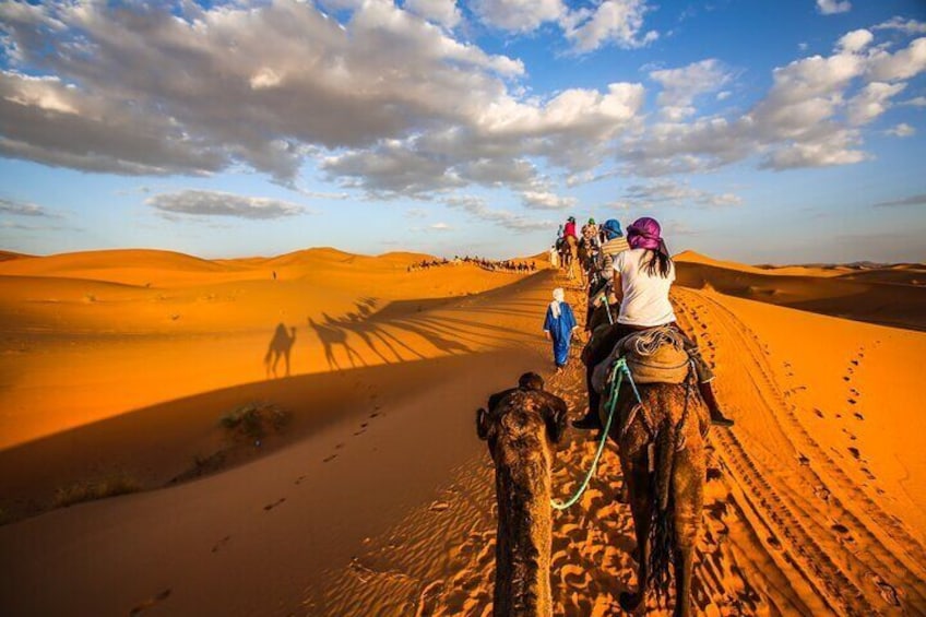 Shared Group Desert Tour Fes To Marrakech Via Merzouga 3 Days