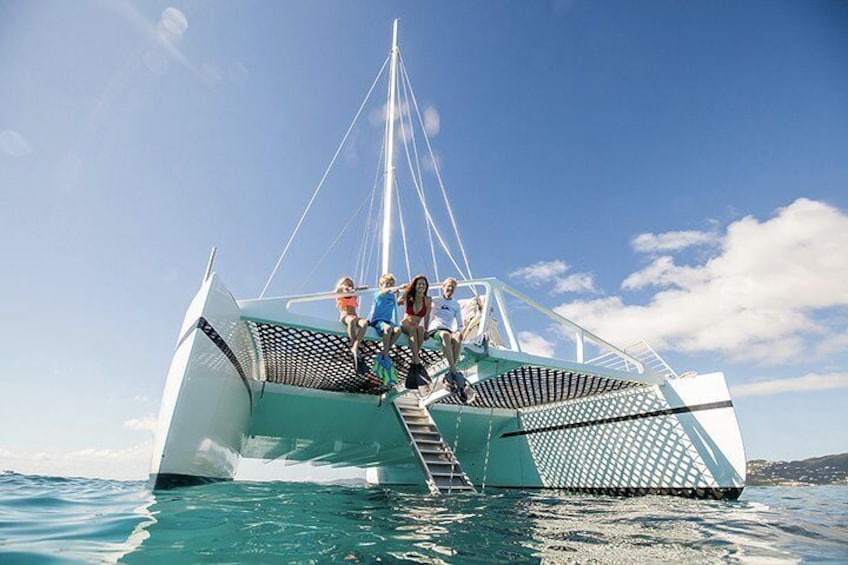 The VI Xcat
