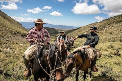 Horseback Riding in the Andes, gaucho experience & BBQ