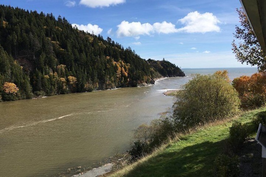 Bay of Fundy Tour by Bus