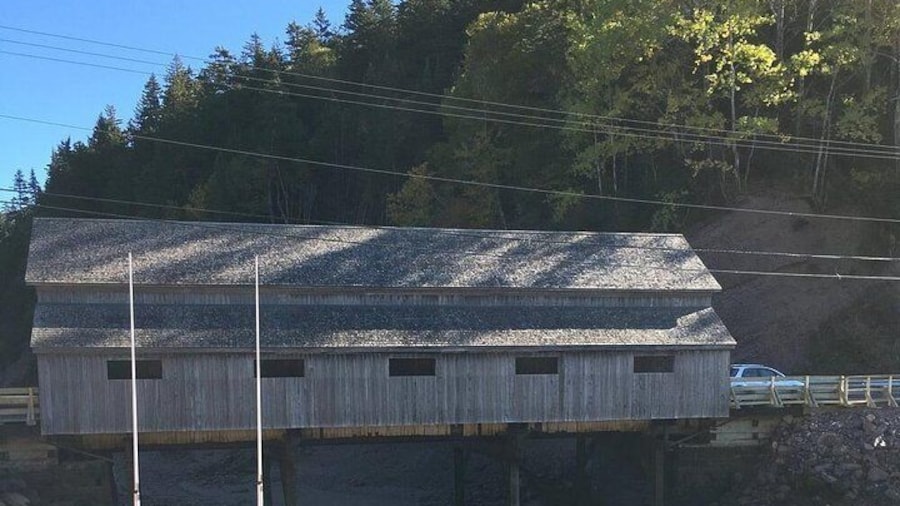 Bay of Fundy Tour by Bus