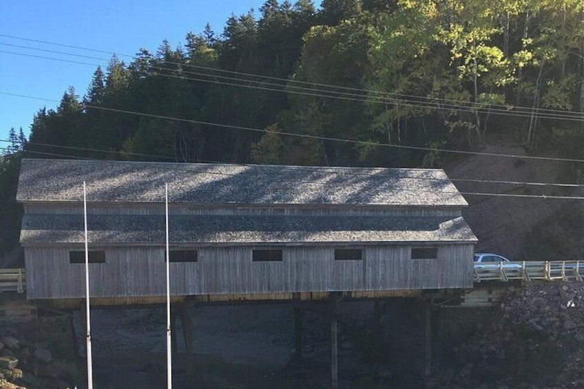 Bay of Fundy Tour by Bus