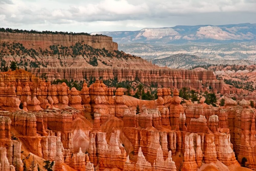 Show item 1 of 6. 1 Day Amazing Tour : Zion Canyon and Bryce Canyon Tour