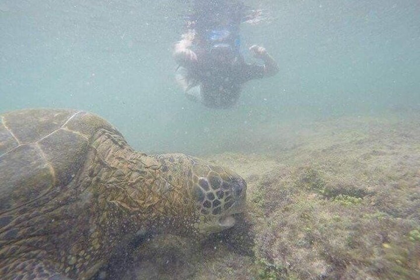 Full day Lava Tunnels Tour from Isabela Island