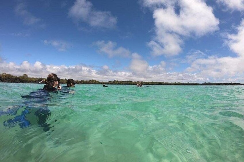 Half Day Tintoreras Tour from Isabela Island