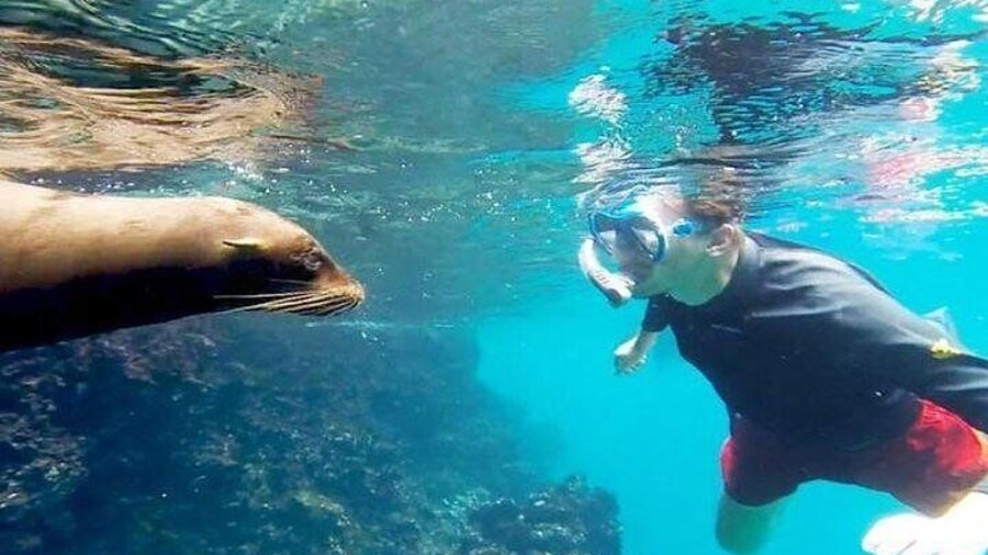 Full Day Santa Fe and Playa escondida with Snorkeling and lunch Included