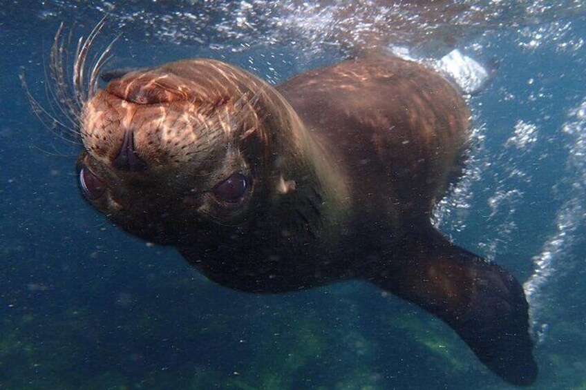 Full Day Santa Fe and Playa escondida with Snorkeling and lunch Included