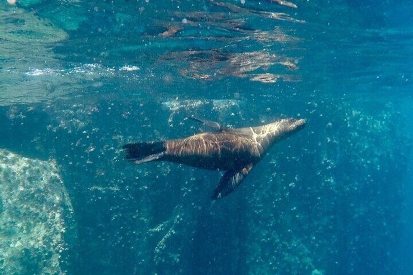 Full Day Santa Fe and Playa escondida with Snorkeling and lunch Included