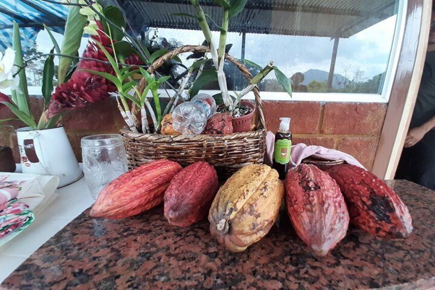 Excursion Day to Cocoa Farm from Guayaquil