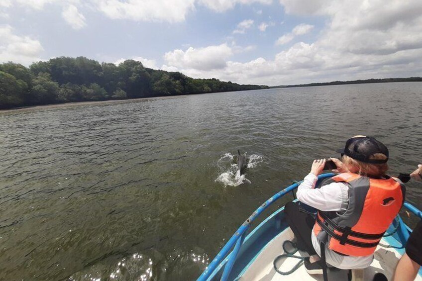 Dolphin Watching in Puerto El Morro from Guayaquil