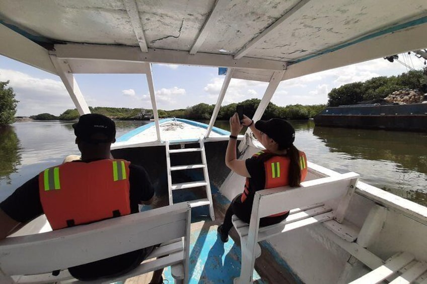 Dolphin Watching in Puerto El Morro from Guayaquil