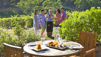 Clare Valley Intimate Winery Tour by Private Limo