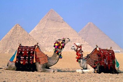 Cairo Over day By Private Limousine (Pyramids&Egyptian Museum&sphinx )-Hurg...
